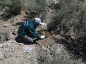 Мониторинг состояния окружающей среды, отбор проб почвы.