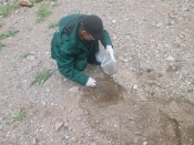Мониторинг состояния окружающей среды, отбор проб почвы.