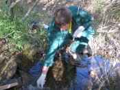 Мониторинг состояния окружающей среды, отбор проб воды.